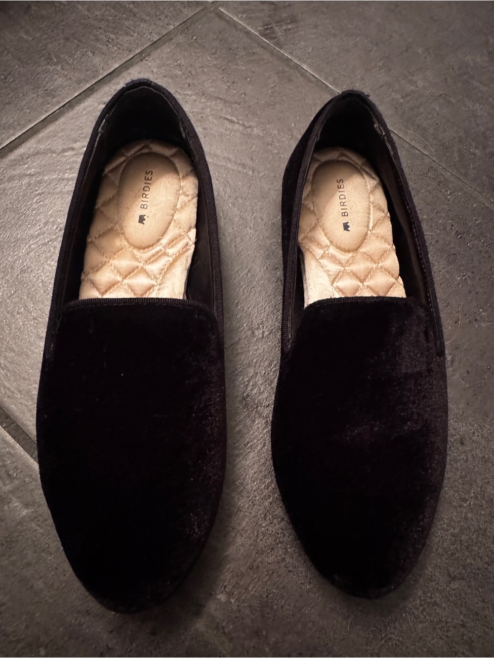 Birdies Black Velvet Men’s Slip-On Loafers